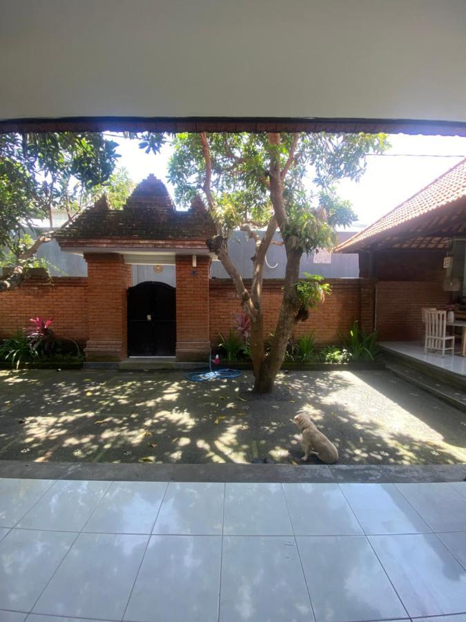 Nita Guest House Bali Canggu Extérieur photo