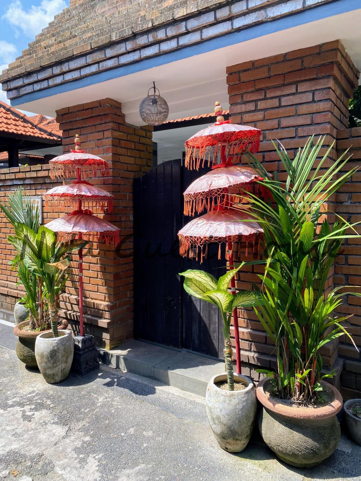 Nita Guest House Bali Canggu Extérieur photo